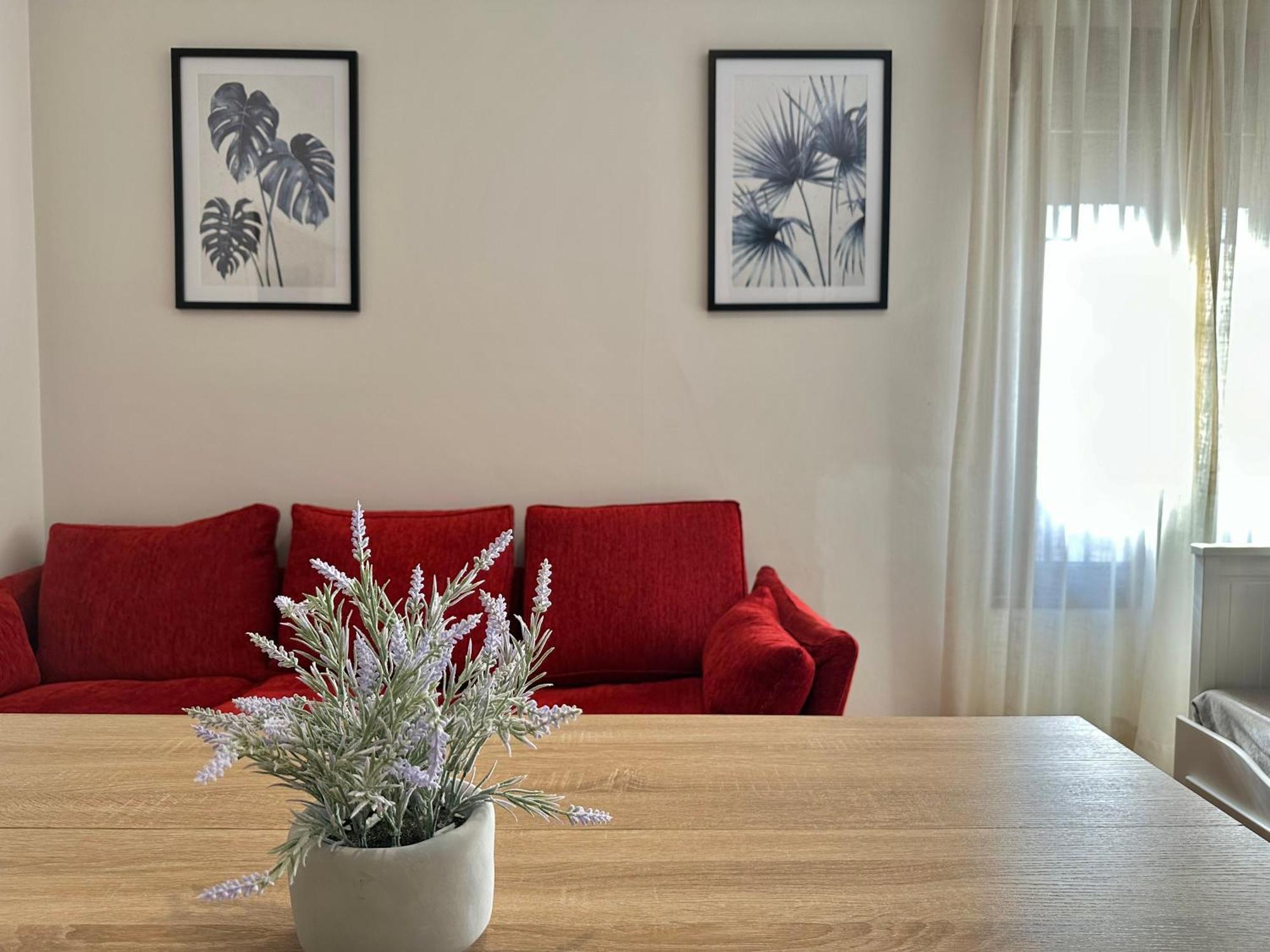 Apartament La Sacristia De San Pablo Kordoba Zewnętrze zdjęcie